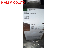 Newborn Calf Serum (NBCS) secure/ Huyết thanh bê sơ sinh (NBCS), 500mL/chai, gibco, REF: 16010-159